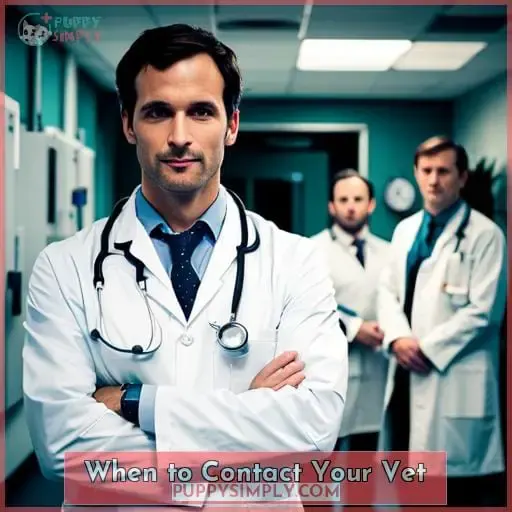 When to Contact Your Vet