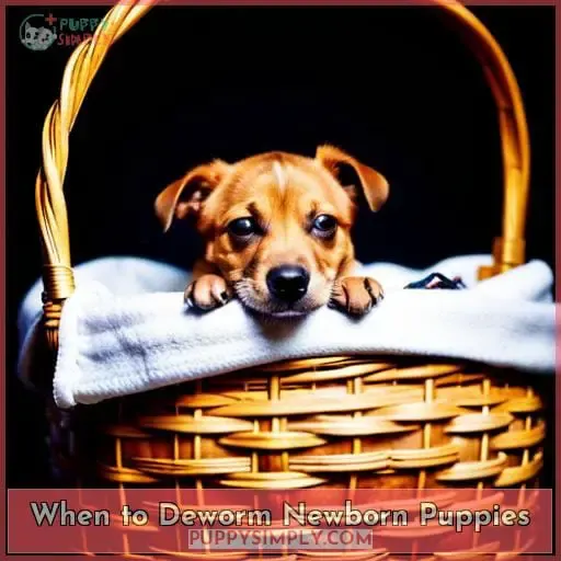 When to Deworm Newborn Puppies
