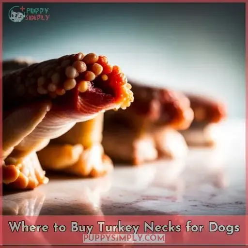 Where to Buy Turkey Necks for Dogs