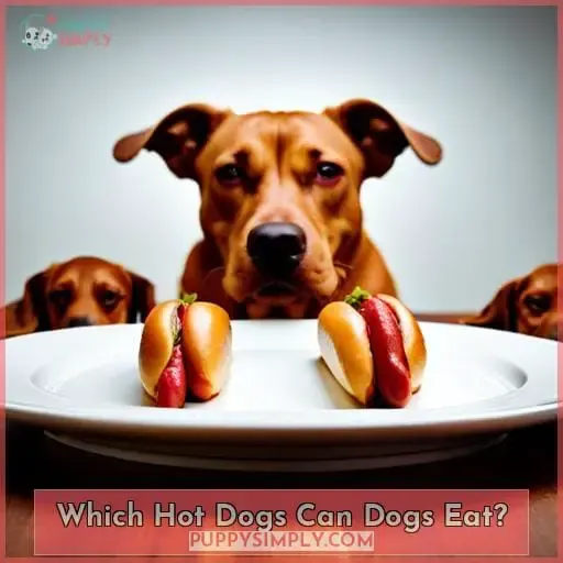 Which Hot Dogs Can Dogs Eat