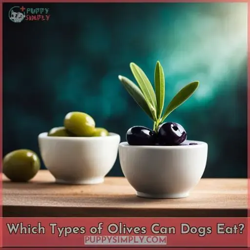 Which Types of Olives Can Dogs Eat