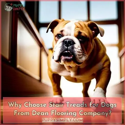 Why Choose Stair Treads for Dogs From Dean Flooring Company