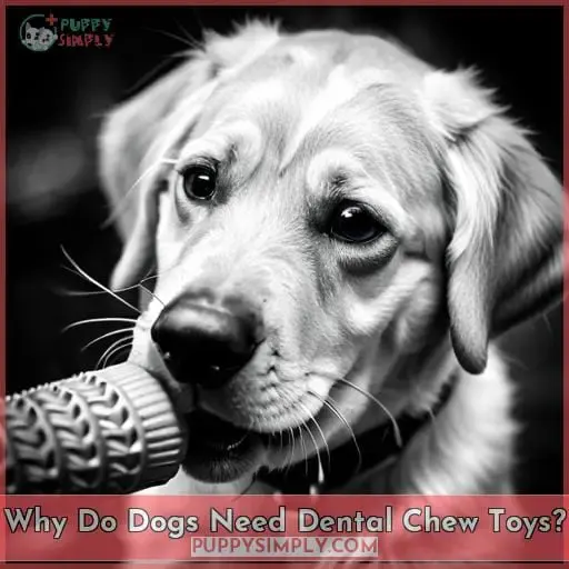 Why Do Dogs Need Dental Chew Toys