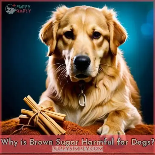 Why is Brown Sugar Harmful for Dogs