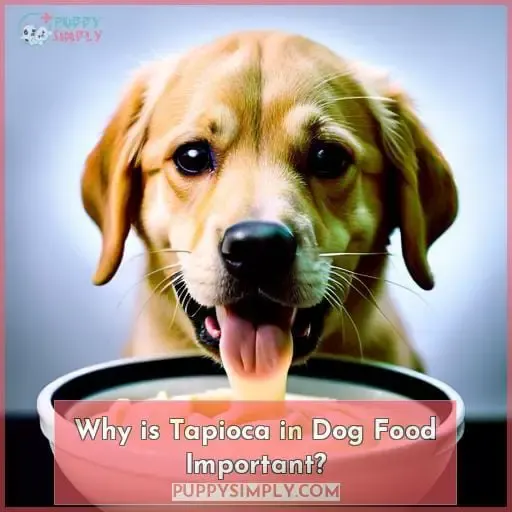 Why is Tapioca in Dog Food Important