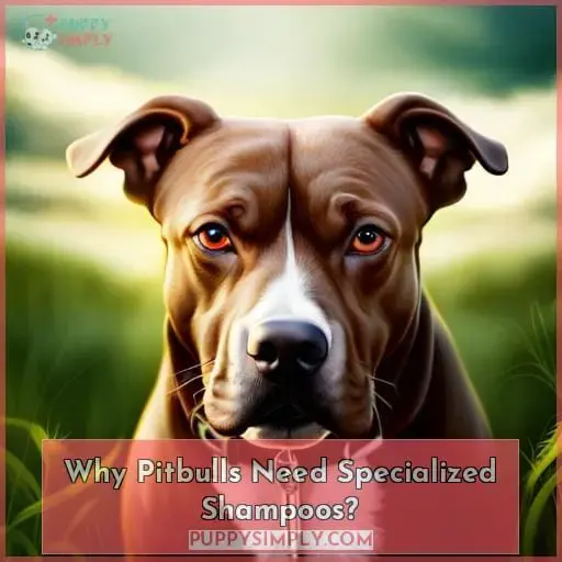 Why Pitbulls Need Specialized Shampoos