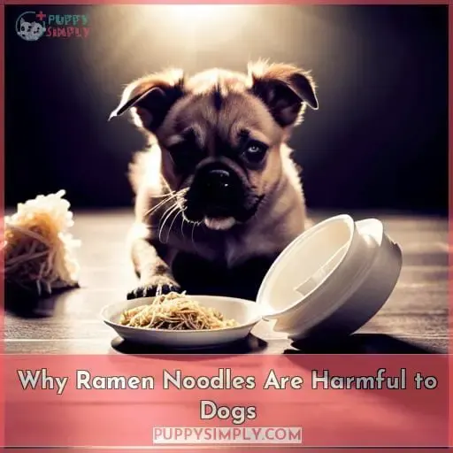 Why Ramen Noodles Are Harmful to Dogs