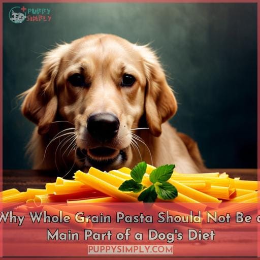 Why Whole Grain Pasta Should Not Be a Main Part of a Dog