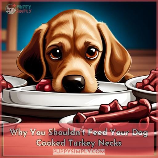 Why You Shouldn’t Feed Your Dog Cooked Turkey Necks
