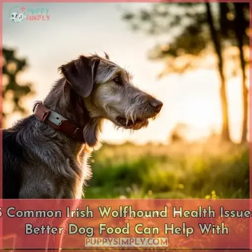 3 Common Irish Wolfhound Health Issues Better Dog Food Can Help With