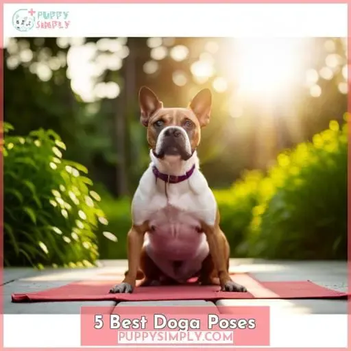 5 Best Doga Poses