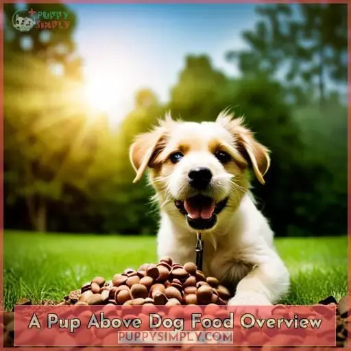 A Pup Above Dog Food Overview