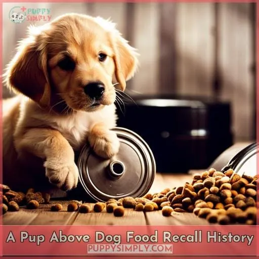 A Pup Above Dog Food Recall History