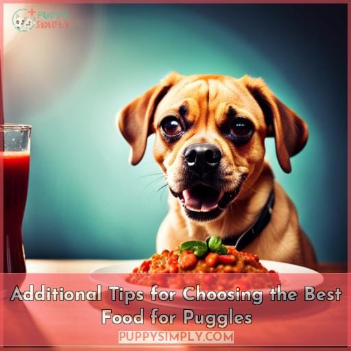 Additional Tips for Choosing the Best Food for Puggles