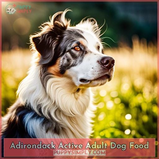 Adirondack Active Adult Dog Food