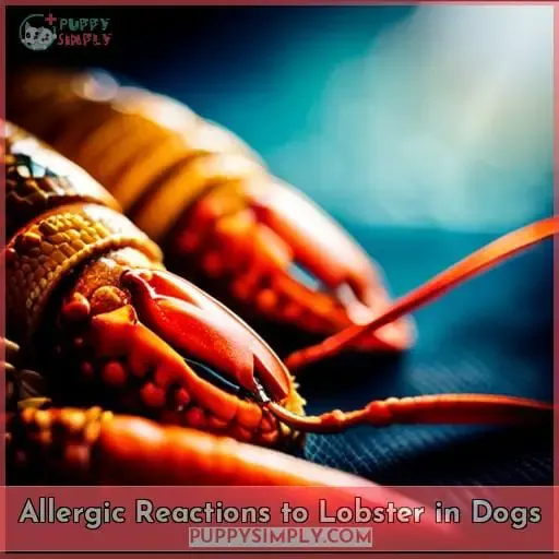 Allergic Reactions to Lobster in Dogs