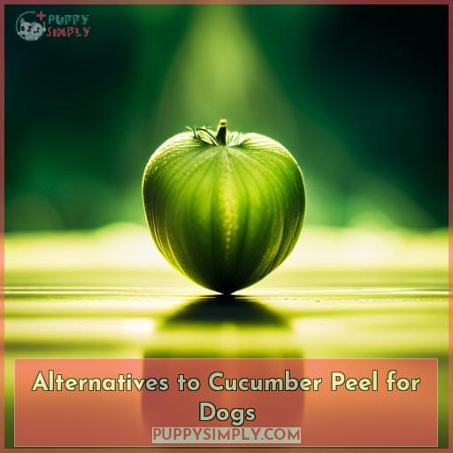 Alternatives to Cucumber Peel for Dogs