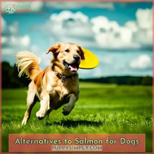 Alternatives to Salmon for Dogs