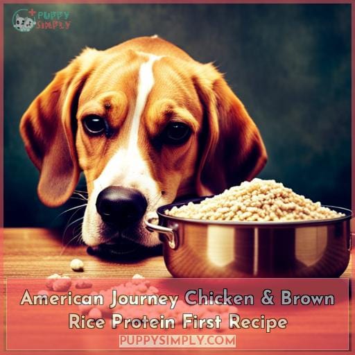 American Journey Chicken & Brown Rice Protein First Recipe
