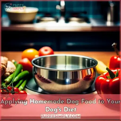 Applying Homemade Dog Food to Your Dog