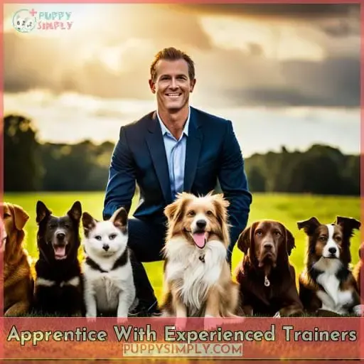 Apprentice With Experienced Trainers