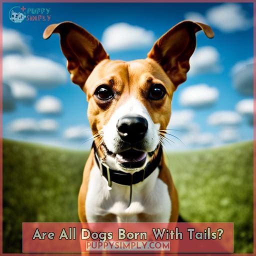 Are All Dogs Born With Tails