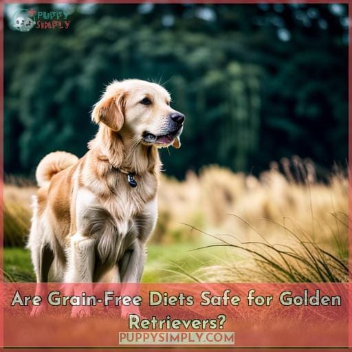 Are Grain-Free Diets Safe for Golden Retrievers