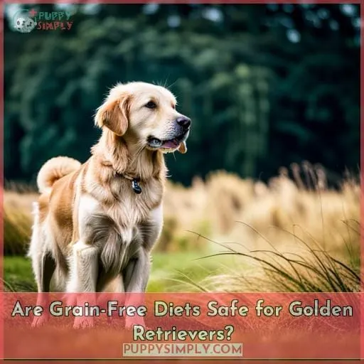 Are Grain-Free Diets Safe for Golden Retrievers