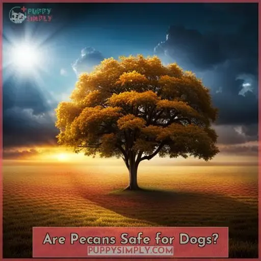 Are Pecans Safe for Dogs