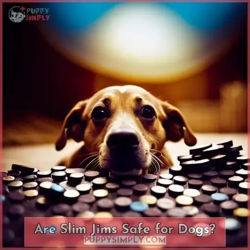 Are Slim Jims Safe for Dogs