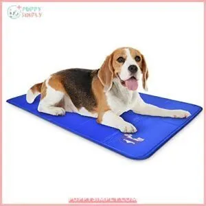 Arf Pets Dog Cooling Mat B0192CJO30