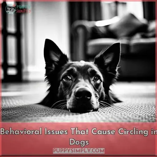 Behavioral Issues That Cause Circling in Dogs
