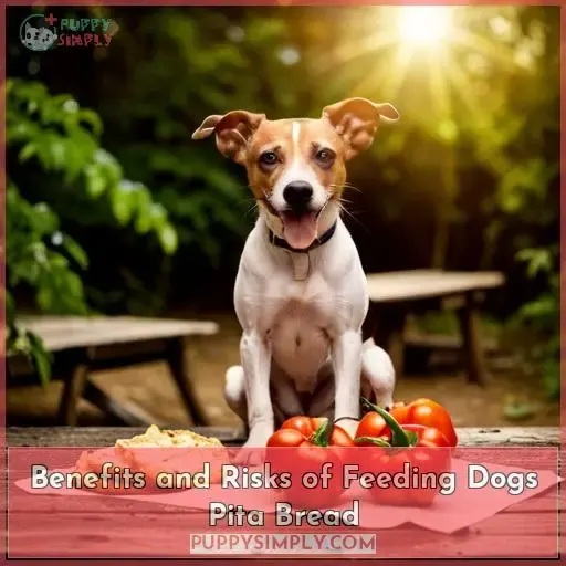 Benefits and Risks of Feeding Dogs Pita Bread