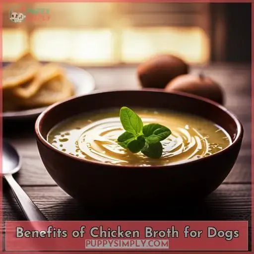 Benefits of Chicken Broth for Dogs