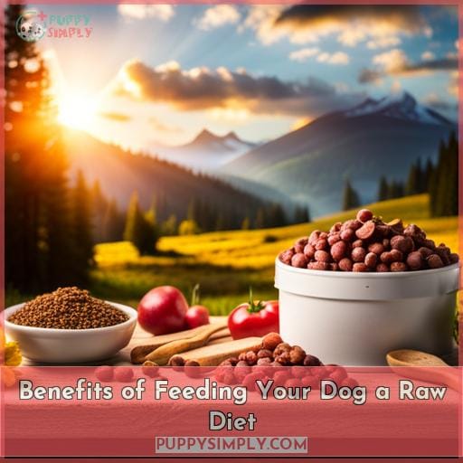 Benefits of Feeding Your Dog a Raw Diet