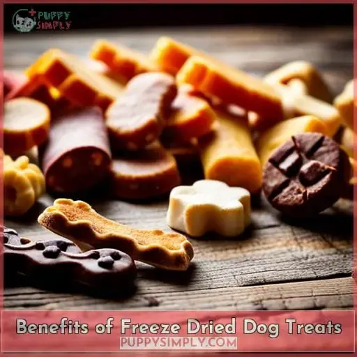 Benefits of Freeze Dried Dog Treats