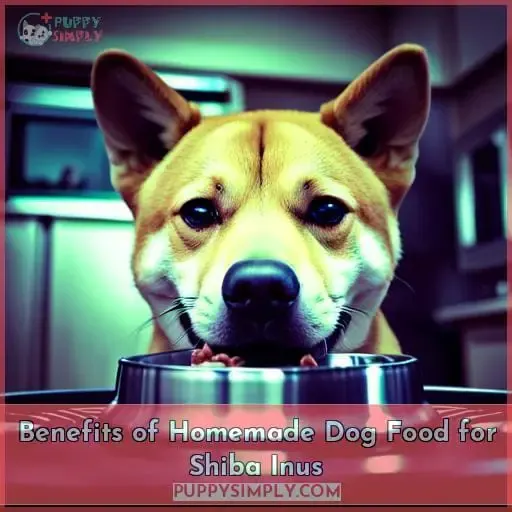 Benefits of Homemade Dog Food for Shiba Inus