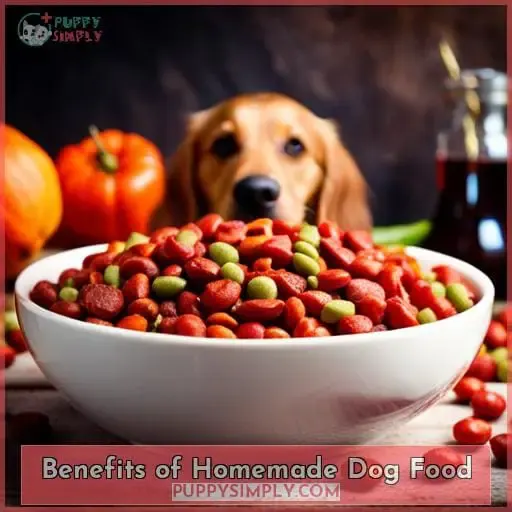 Benefits of Homemade Dog Food