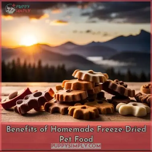 Benefits of Homemade Freeze-Dried Pet Food