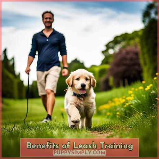 Benefits of Leash Training
