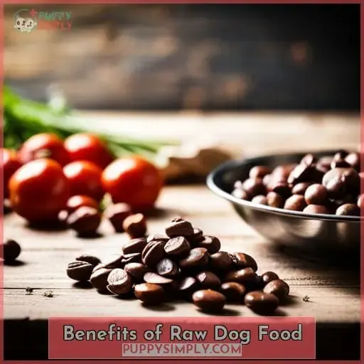 Benefits of Raw Dog Food
