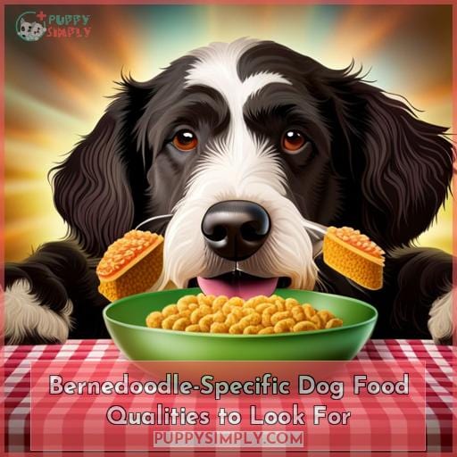Bernedoodle-Specific Dog Food Qualities to Look For