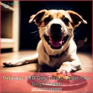 best cbd dog treats a delicious way to treat your dogs health problems