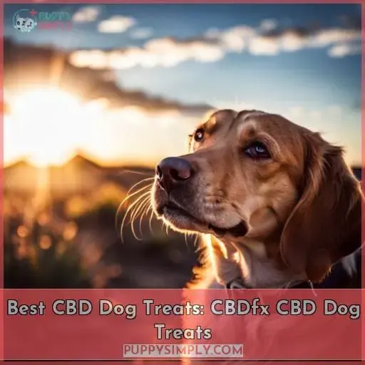 Best CBD Dog Treats: CBDfx CBD Dog Treats