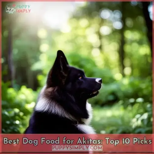 best dog food for akitas
