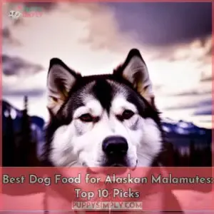 best dog food for alaskan malamutes