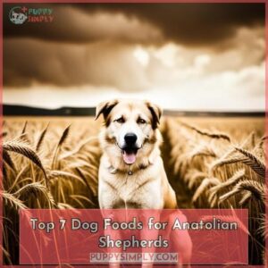 best dog food for anatolian shepherd dogs