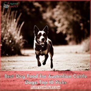 best dog food for australian cattle dogs