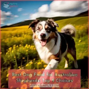 best dog food for australian shepherds