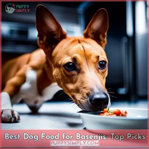 best dog food for basenjis